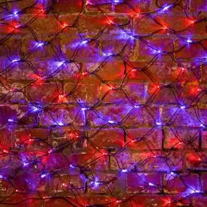 Гирлянда Сеть 2х0,7м, черный ПВХ, 176 LED Красные/Синие (контроллер в комплекте)  в Самаре