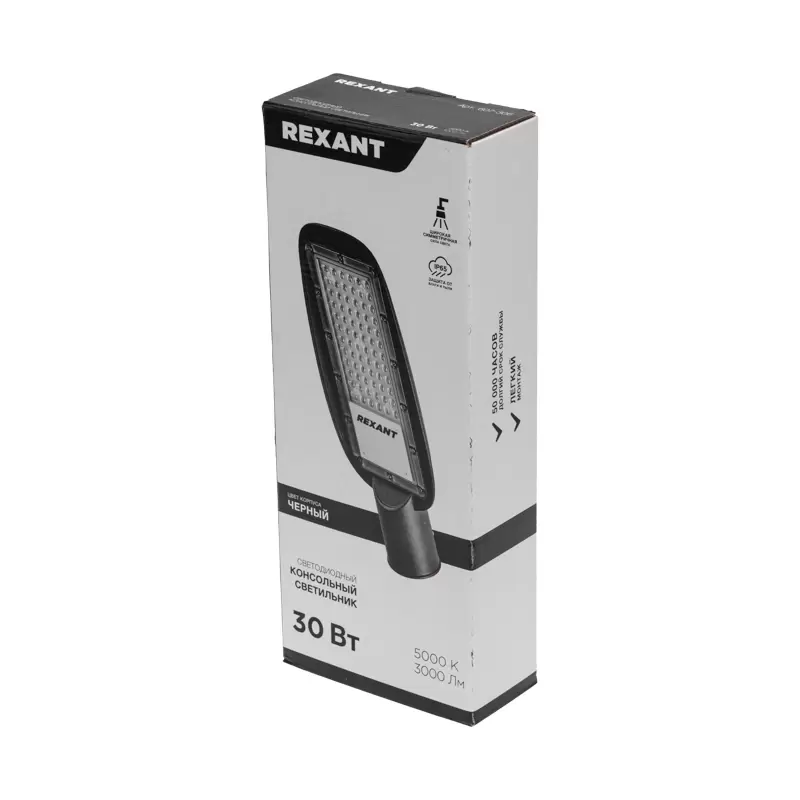 Светильник светодиодный консольный ДКУ 03-30-5000К-Ш-C IP65 черный REXANT в Самаре