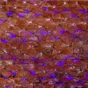 Гирлянда Сеть 2,5х2,5м, черный ПВХ, 432 LED Белые/Синие (шнур питания в комплекте)  в Самаре