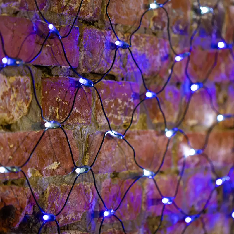 Гирлянда Сеть 2,5х2,5м, черный ПВХ, 432 LED Белые/Синие (шнур питания в комплекте) в Самаре